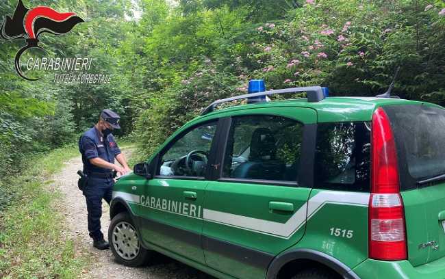 CARABINIERI FORESTALI