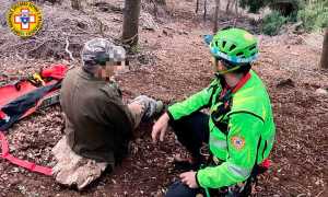 Cercatore funghi Arbus