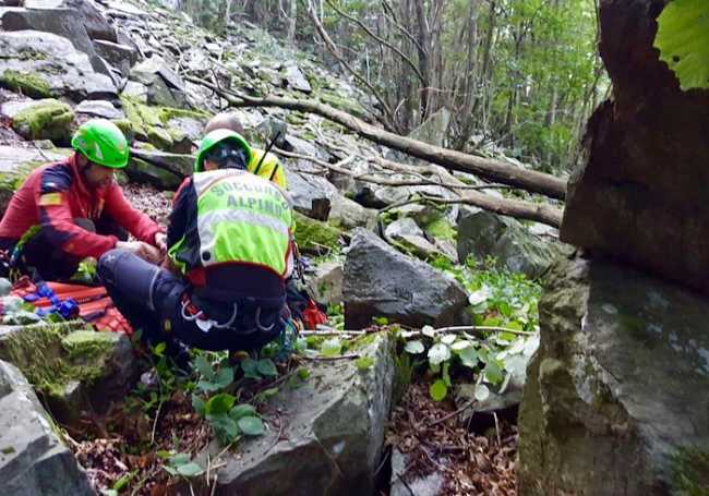 FC9483C5 5BC6 495D 8CD1 B5B601F9805D