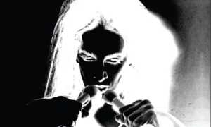 PHOTO 2024 01 28 00 42 34