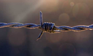 Schermata 2019 02 25 alle 14.07.22