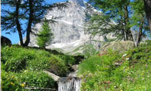 Schermata 2020 04 19 alle 11.11.43