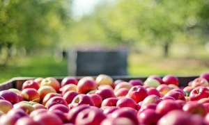 Schermata 2020 11 30 alle 15.49.39