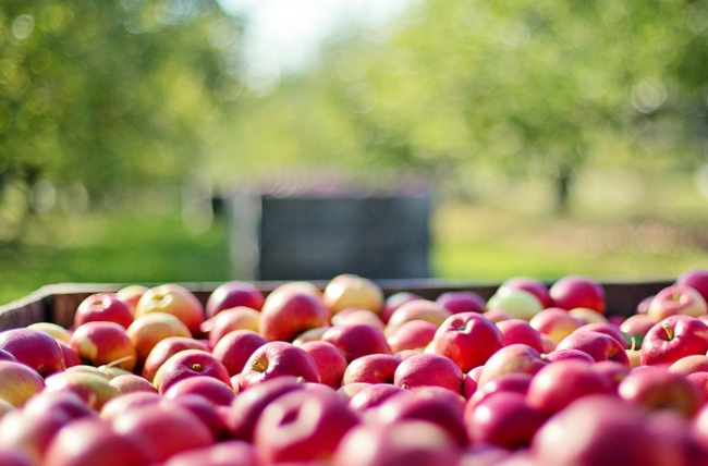 Schermata 2020 11 30 alle 15.49.39