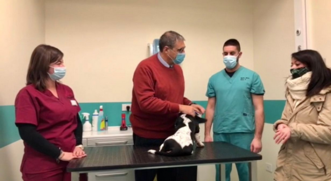 Schermata 2020 12 20 alle 11.05.01