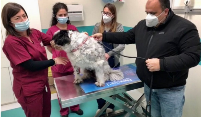 Schermata 2021 01 31 alle 11.15.45