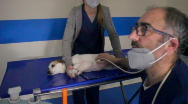 Schermata 2021 03 07 alle 10.58.25