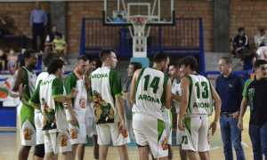 arona basket 24