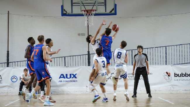 basket college no 24