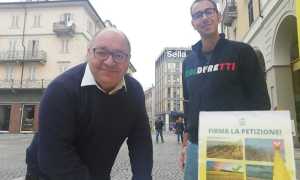 biella corradino coldiretti