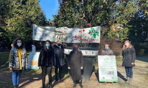 biella fondo edo tempia