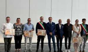 botteghe di servizi coggiola regione