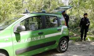 carabinieri forestale bosco