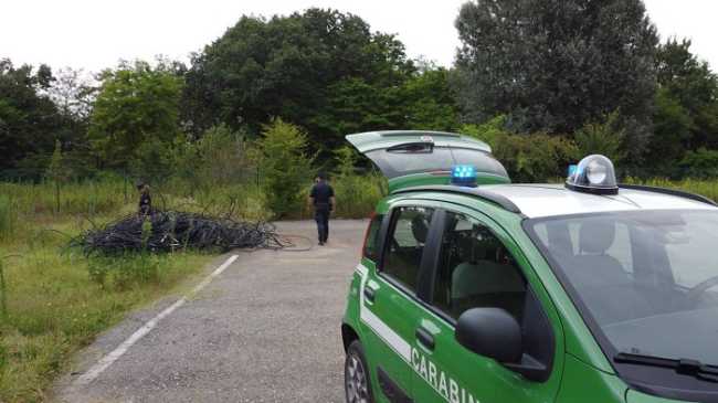 carabinieri forestali