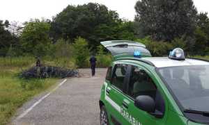 carabinieri forestali