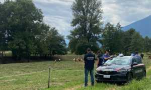 carabinieri ispettorato lavoro agricoltura