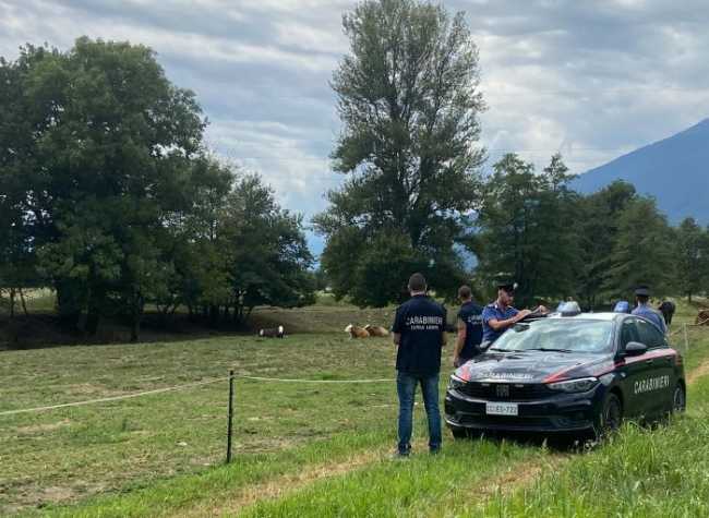 carabinieri ispettorato lavoro agricoltura
