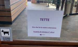 cartello tette
