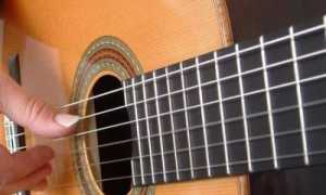chitarra