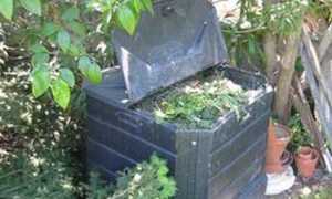 compost