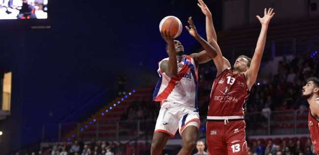 edilnolpallacanestro