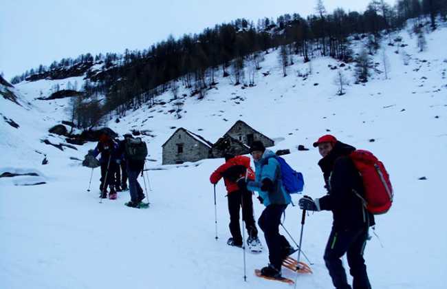 fabbri corona troggi