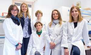 fondo tempia ricerca tumore al seno