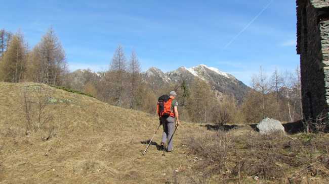 gita canogia fabbri trotapian