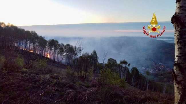 incendio donato boschi