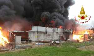 incendio gaglianico 3