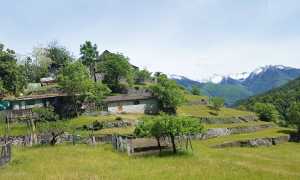 monteossolano fabbri