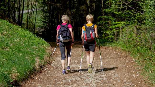 nordic walking