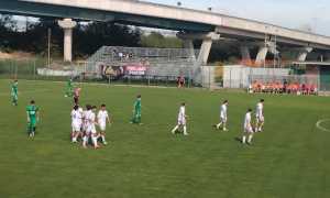 novaromentin gozzano set 25