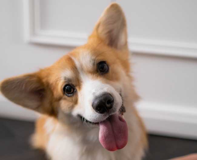 pexels ron lach 7792647