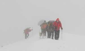 pizo pernice neve tempesta fabbri