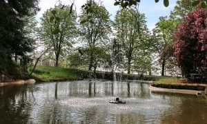 pollone parco burcina