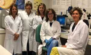 staff laboratorio genomica