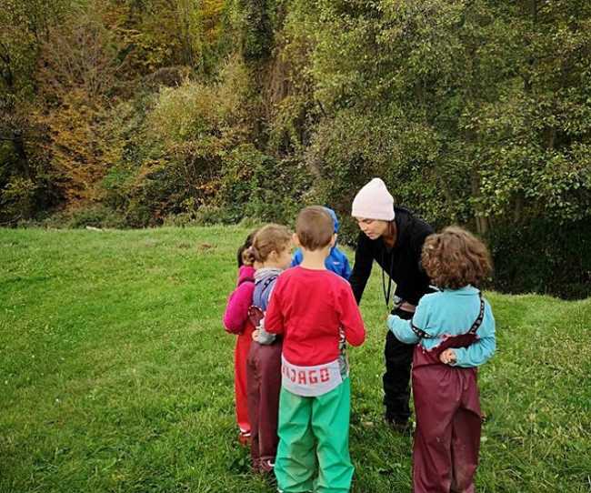 veglio bosco dei grandi