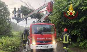 vigili del fuoco taglio albero