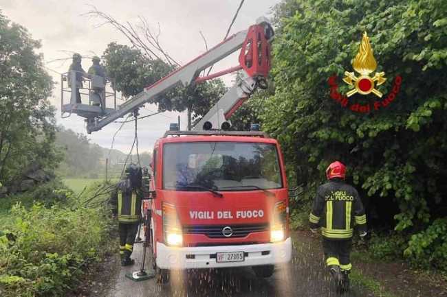 vigili del fuoco taglio albero