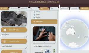 vitale barberis canonico qr code