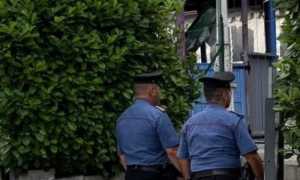 viverone movida chiusura