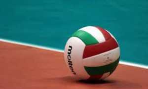 volley generica