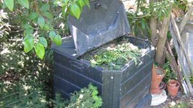 compost