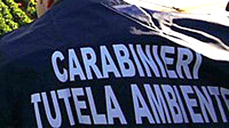carabinieri tutela ambiente