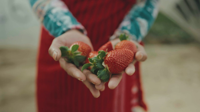 Frutta e sfruttamento: a Trobaso la proiezione del film denuncia The Pickers
